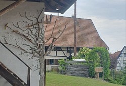 Esquisse vivante arbre à chat deux mortiers et bois naturel