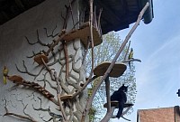 Arbre à chat deux mortiers