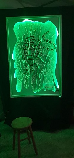 Tigre jeu fond vert