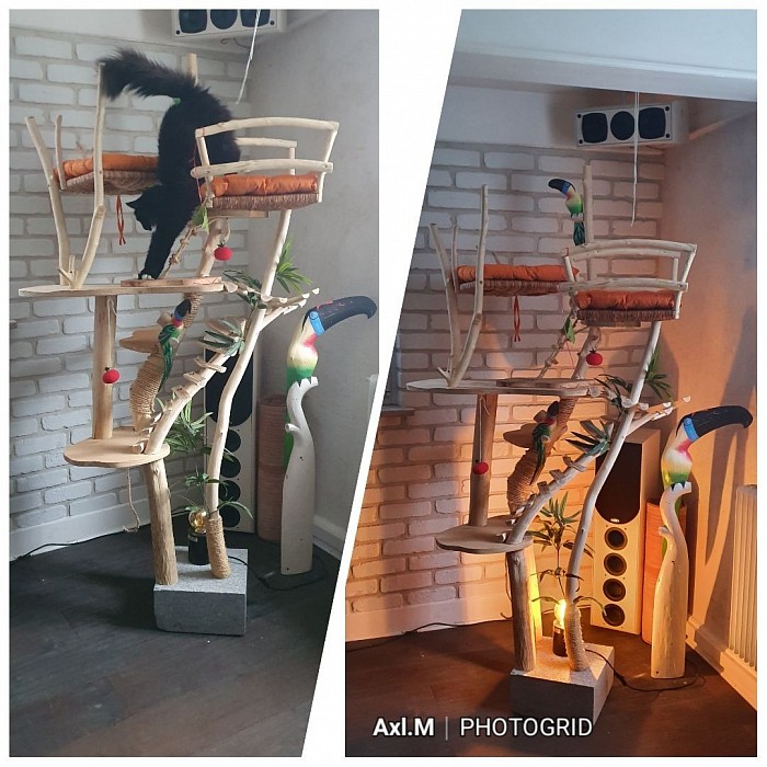Arbre à chat 100% naturel sur mesure et personnalisée