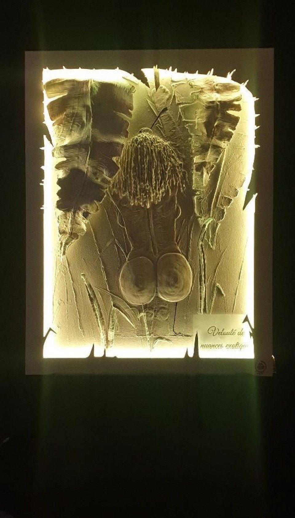 Toile relief sur jeux d'ombres et lumières