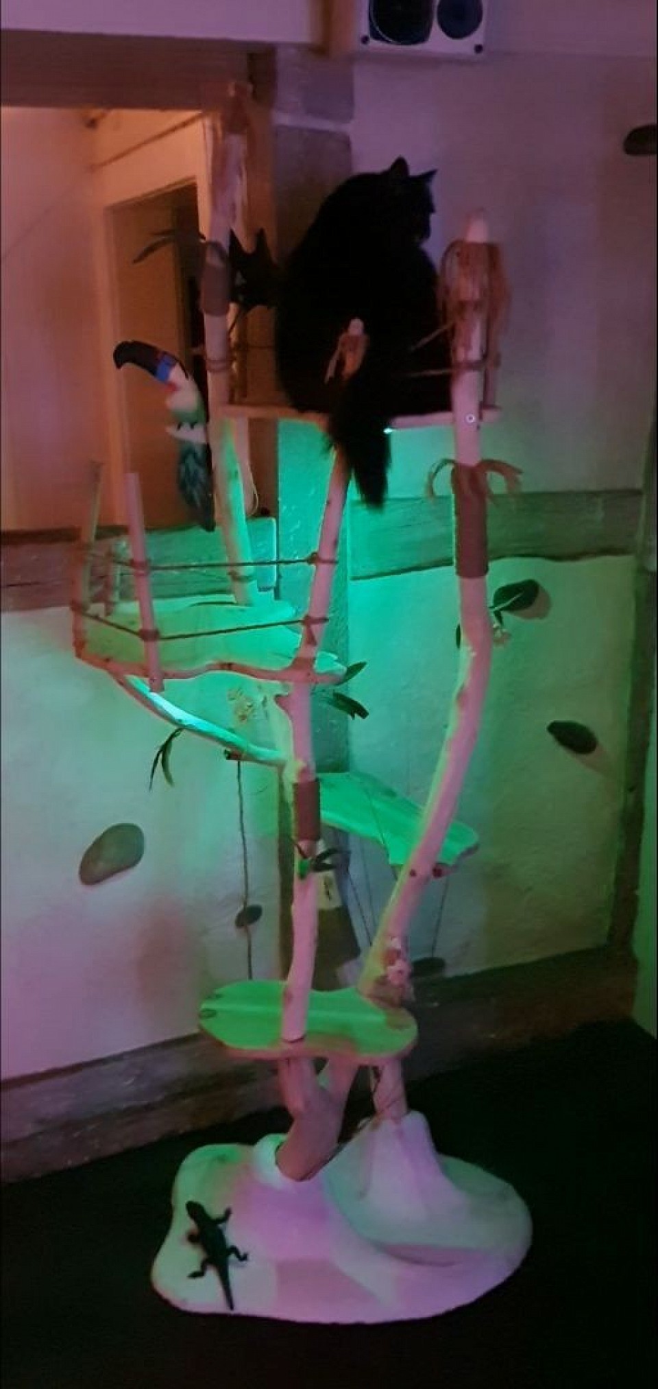Arbre à chat cerisier