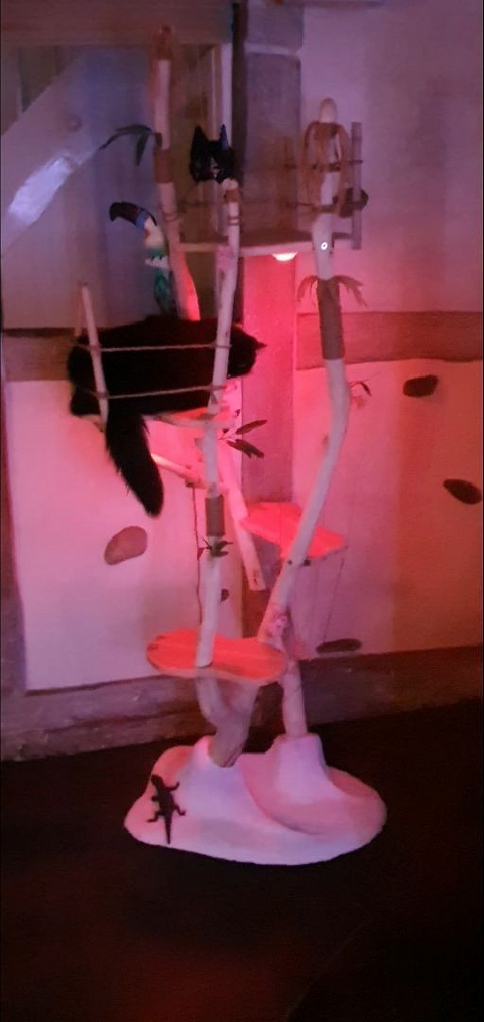 Arbre à chat cerisier jeu de lumière