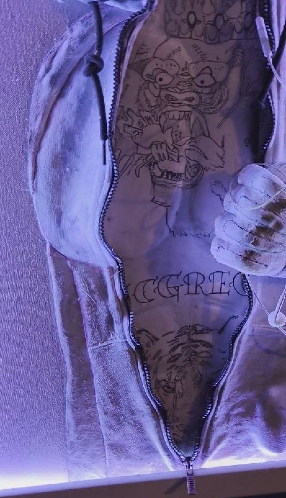 Conor mcgregor painting